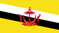 Flag_of_Brunei-512x256